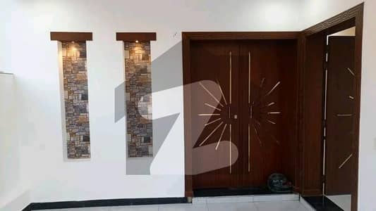 پیراگون
