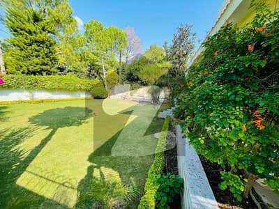 Spacious 6-Bedroom House With Front Garden Available For Rent In F-8 Islamabad