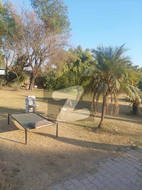 Farm House For Rent Chackshazad Farm Park Road Islamabad Farm House For Rent Chackshazad Farm Park Road Islamabad