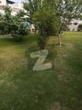 26 