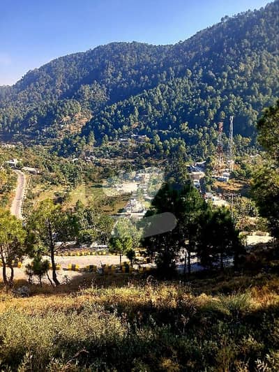 پیر