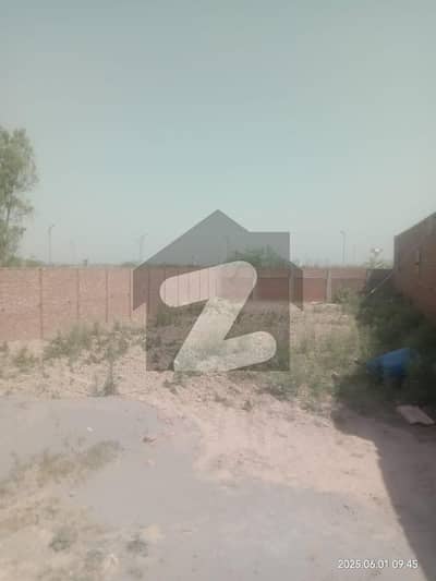 بیدیاں