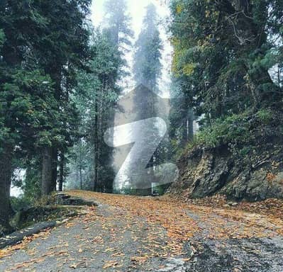 3.5 Marla Plot On Prime Location Masyari Murree
