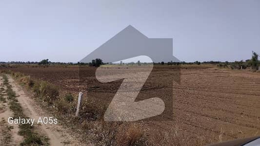 80 Kanal Agricultural Land For Sale In Balkasar Walana