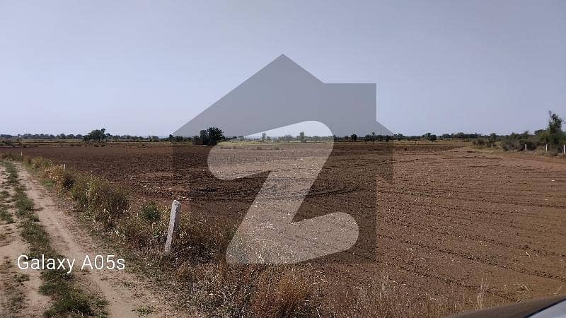 80 Kanal Agricultural Land For Sale In Balkasar Walana 80 Kanal Agricultural Land For Sale In Balkasar Walana