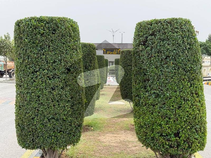30x60 PLOT FOR SALE IN F-17 T&Amp;T ISLAMABAD 30x60 PLOT FOR SALE IN F-17 T&Amp;T ISLAMABAD