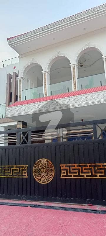 جناح