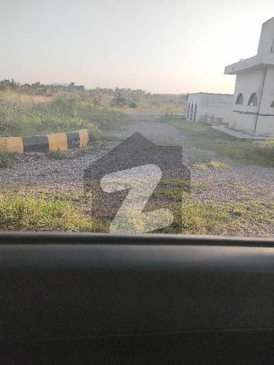 سی