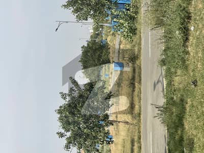 DHA