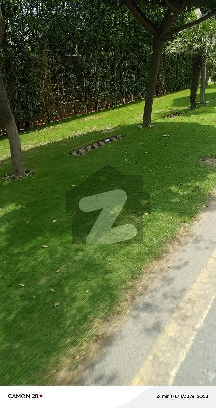 Urgent Sale 1kanal plot Urgent Sale 1kanal plot