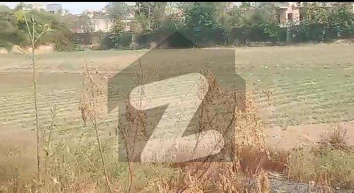 Agricultural Land In Bedian Road For sale Agricultural Land In Bedian Road For sale