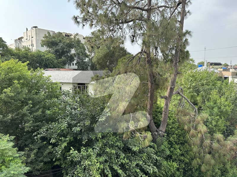 Plot For Sale In The Heart Of City Plot For Sale In The Heart Of City