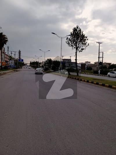 نیو