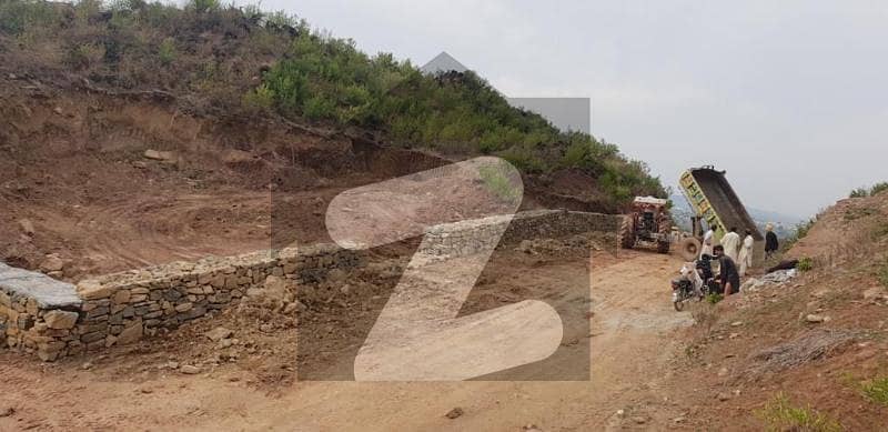 Farm house land for sale Farm house land for sale