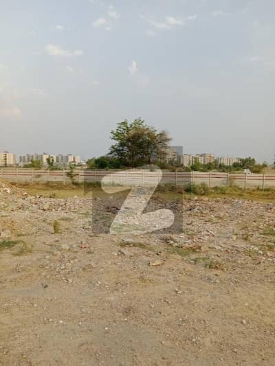 DHA