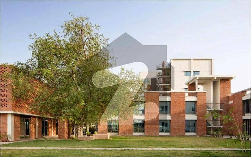 Big College, University Building Park Road Chak Shehzad Available Big College, University Building Park Road Chak Shehzad Available