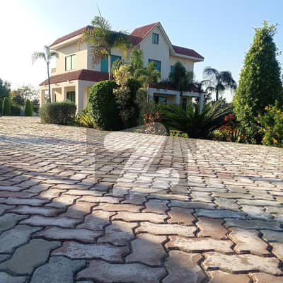 برکی