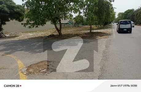 ڈی