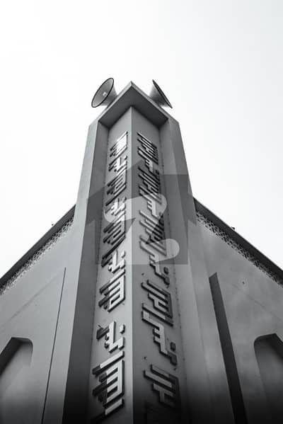 واپڈا