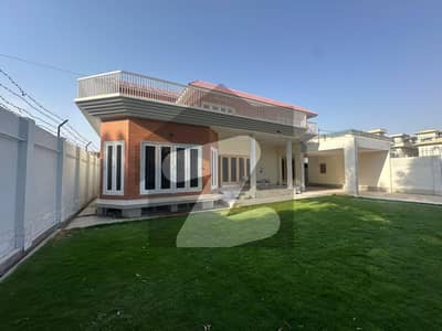 حیات