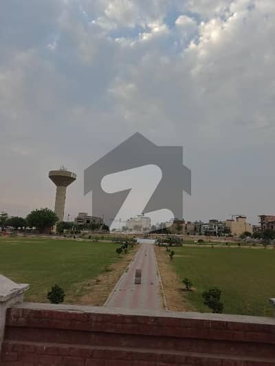 ٹی