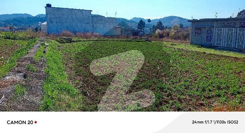 19 Marla Plot For Sale In Neelay Pair Abbottabad 19 Marla Plot For Sale In Neelay Pair Abbottabad