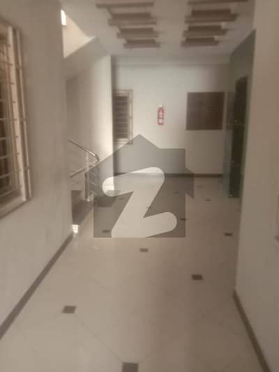 نارتھ