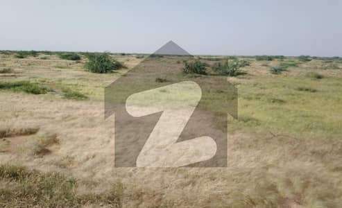سادی
