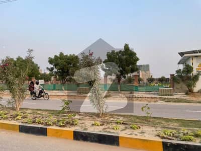 سیکٹر