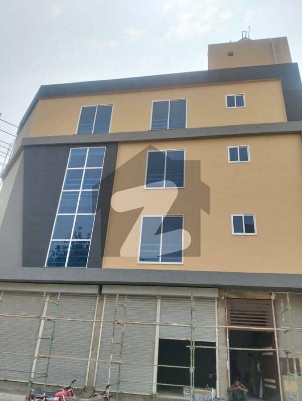 6 