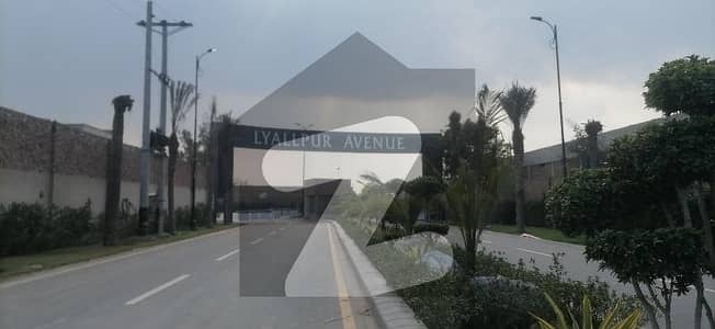 لائل