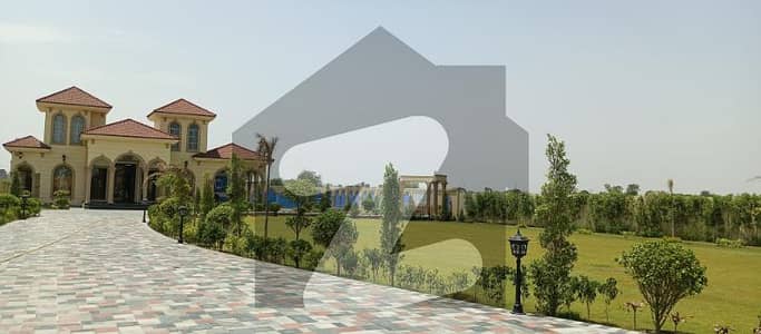 برکی