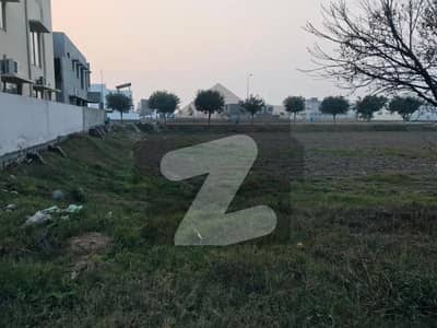 سوئی