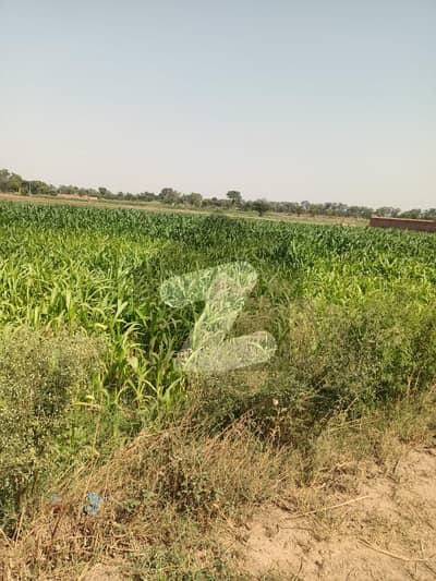 8 Kanal Farmhouse Land for Sale in Jhaman Bedian Road Lahore