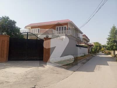 حیات