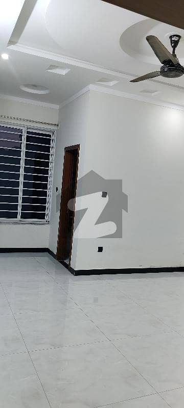 جناح