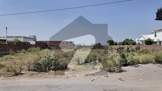 برکی