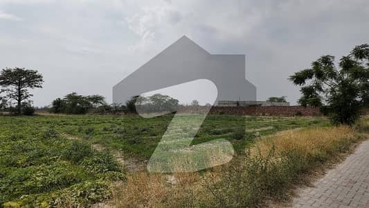 برکی