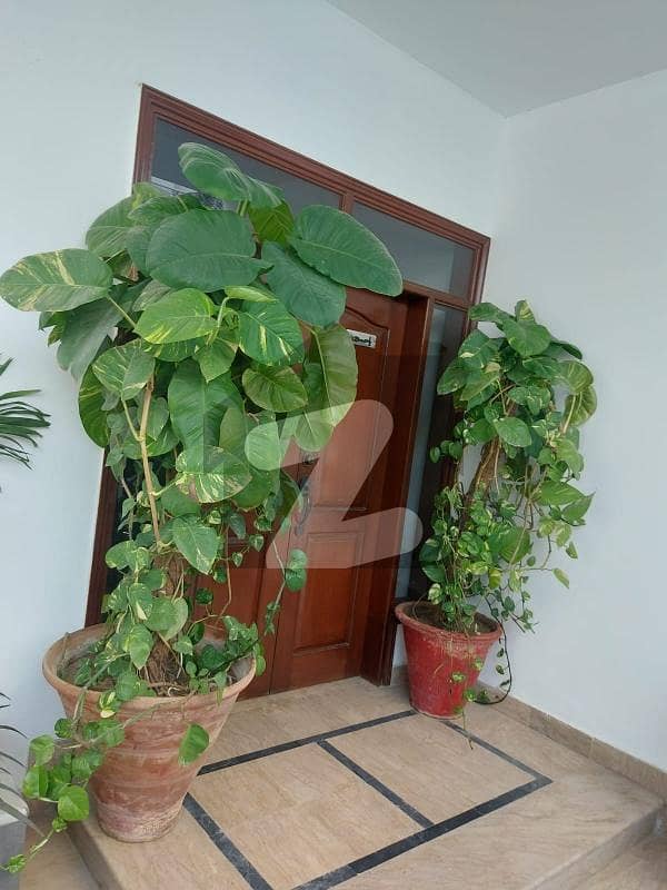 500 YARDS REAR BUNGALOW AVAILABLE FOR RENT 500 YARDS REAR BUNGALOW AVAILABLE FOR RENT