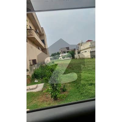 واپڈا