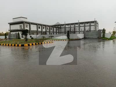 ڈی