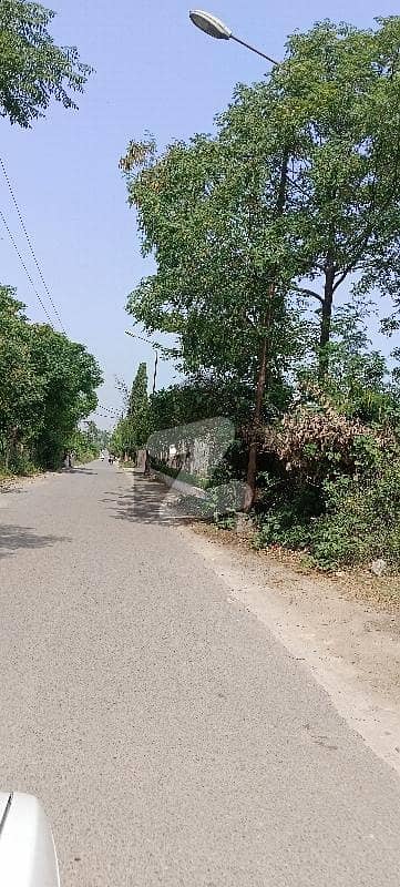 Park Rd chakshezad Park Rd chakshezad