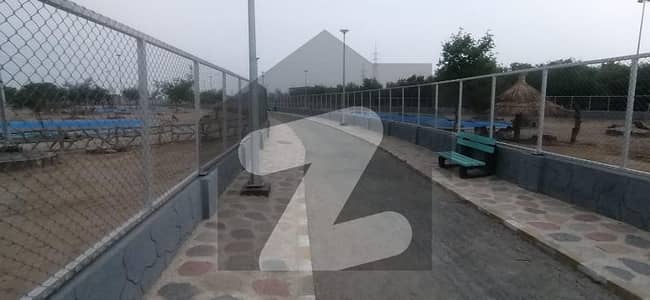 ڈی