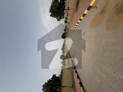 ڈی