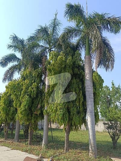 Prime 200 Kanal Residential Land for Sale Main Mirpur, Azad Kashmir Road