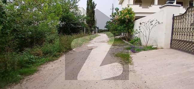 بنی