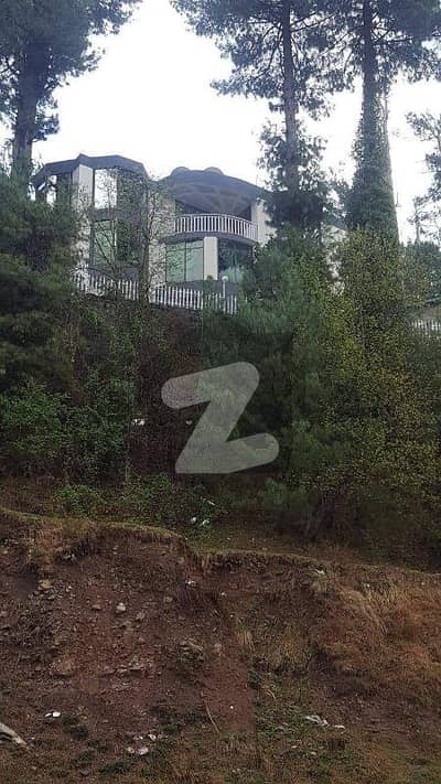 بھوربن
