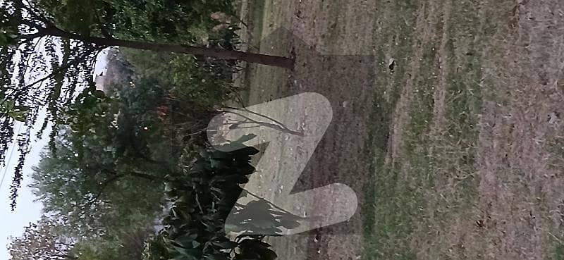 Sun face , highted back side extra land arround 8 to 10 Marla as lawn for basement .