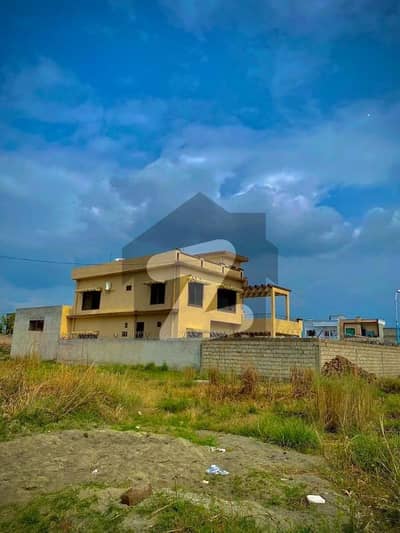 Looking For A Residential Plot In  Royal City   Royal City