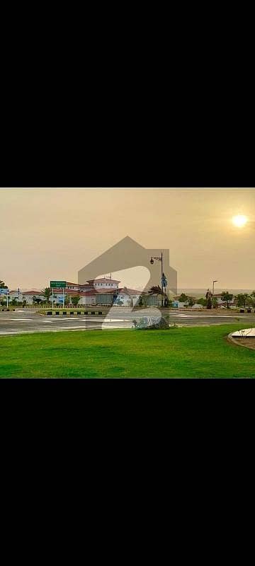 ڈی